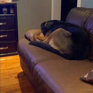 Meet your Posher, Janice